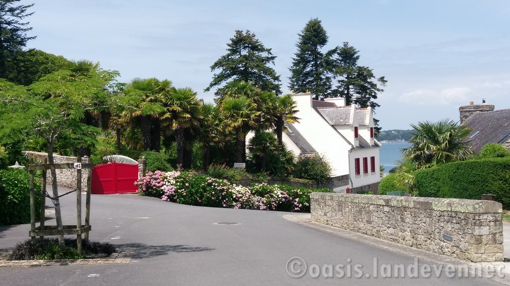 L'Oasis à Landevennec