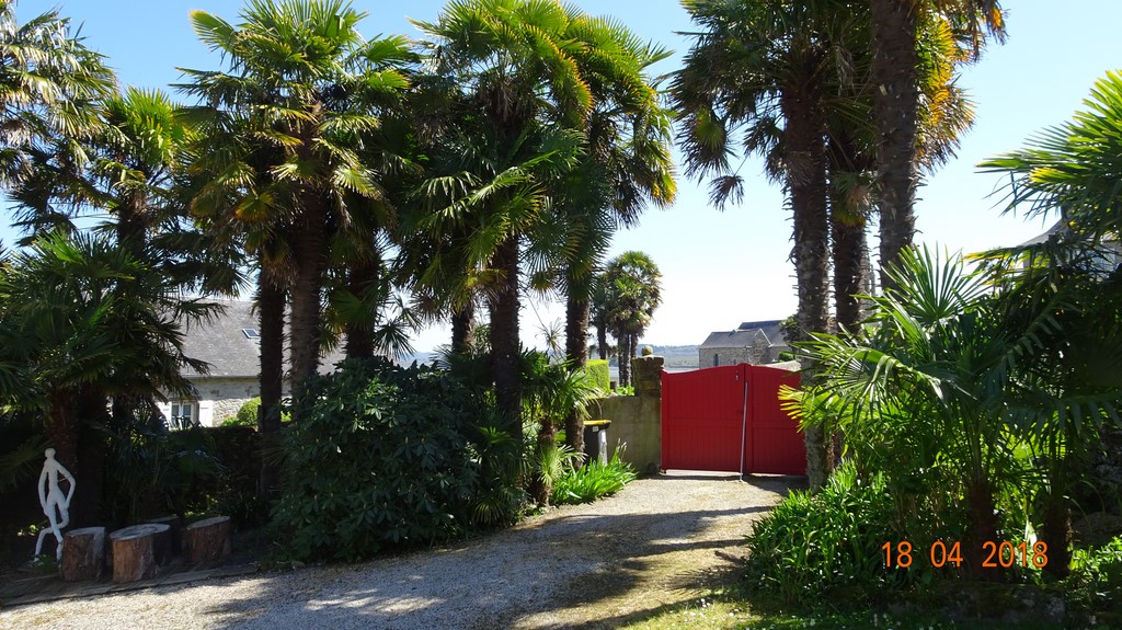 cour intérieure de l'oasis landevennec