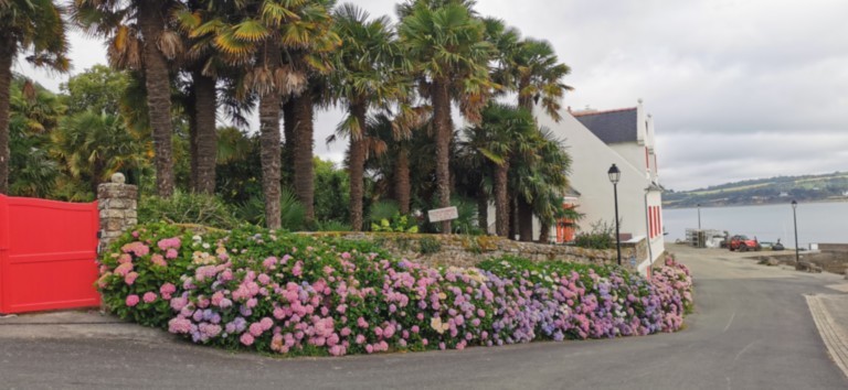 l'Oasis à Landevennec